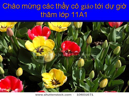 Tuần 23. Chiều tối (Mộ)