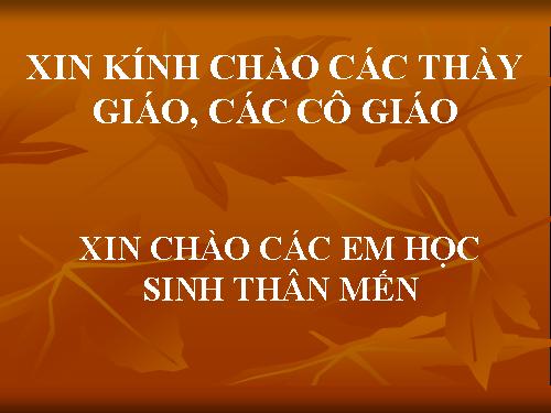 Tuần 25. Đặc điểm loại hình của Tiếng Việt