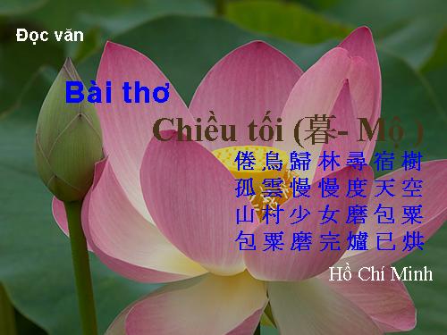 Tuần 23. Chiều tối (Mộ)