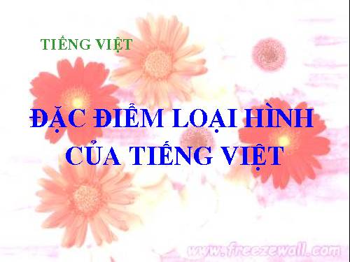 Tuần 25. Đặc điểm loại hình của Tiếng Việt