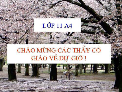 Tuần 19. Nghĩa của câu