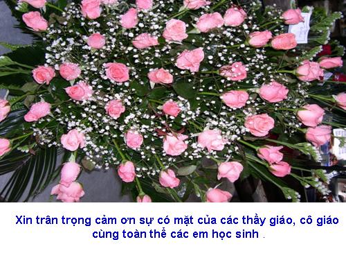 Tuần 28. Người cầm quyền khôi phục uy quyền