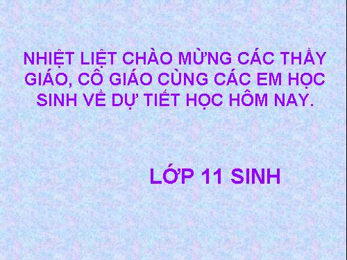 Tuần 12. Hạnh phúc của một tang gia