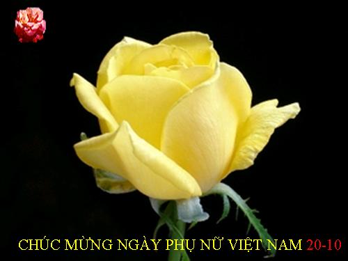 Tuần 8. Ôn tập văn học trung đại Việt Nam