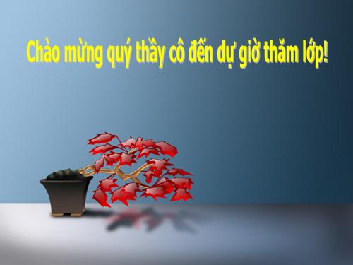 Tuần 7. Thực hành về nghĩa của từ trong sử dụng