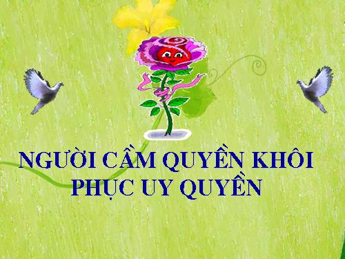 Tuần 28. Người cầm quyền khôi phục uy quyền