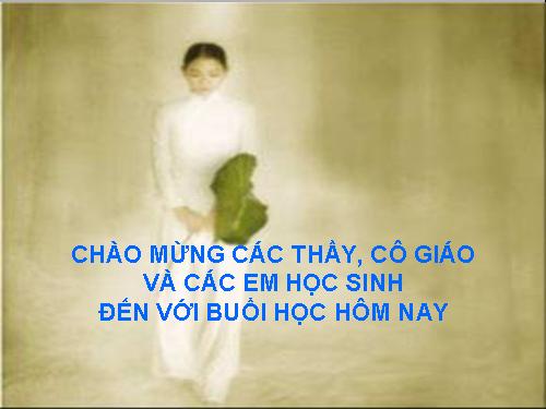 Tuần 31. Một thời đại trong thi ca