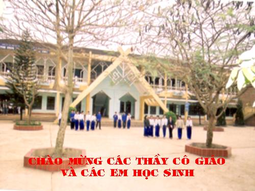 Tuần 28. Người cầm quyền khôi phục uy quyền