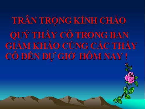 Tuần 27. Người trong bao