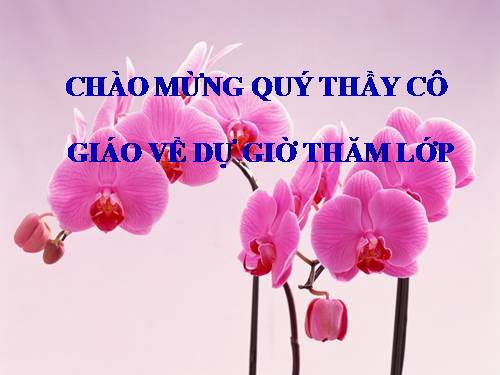 Bài 5. Các thao tác cơ bản trên bảng