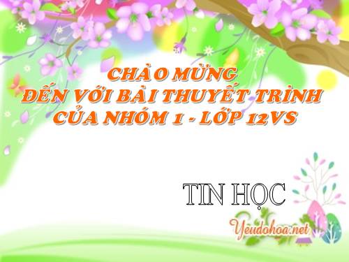 bài thực hành tổng hợp Access hk1