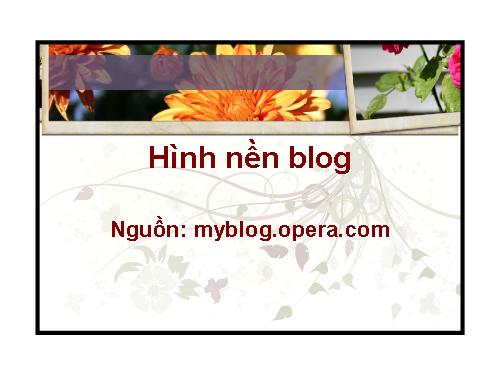 Hình nền blog