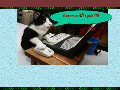 Bài 3. Giới thiệu Microsoft Access