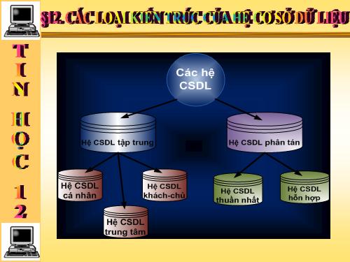 Bài 12. Các loại kiến trúc của hệ cơ sở dữ liệu