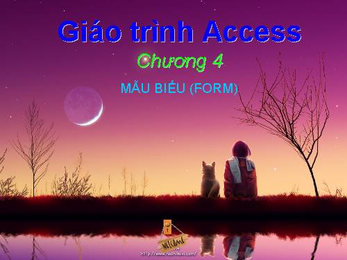 Làm việc với Mẫu biểu ( Form) trong Access