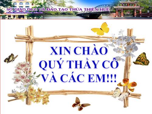 Bài 26. Tình hình xã hội ở nửa đầu thế kỷ XIX và phong trào đấu tranh của nhân dân