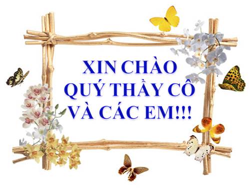 Bài 24. Tình hình văn hóa ở các thế kỷ XVI-XVIII