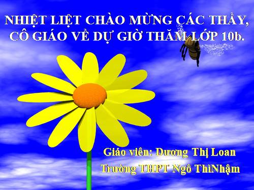 Bài 23. Phong trào Tây Sơn và sự nghiệp thống nhất đất nước. Bảo vệ tổ quốc cuối thế kỷ XVIII