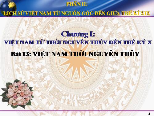 Bài 13. Việt Nam thời nguyên thuỷ