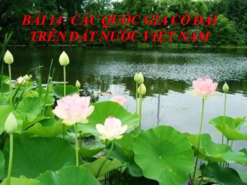 Bài 14. Các quốc gia cổ đại trên đất nước Việt Nam