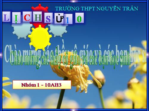 Lịch sử địa phương - Nghệ thuật võ Bình Định