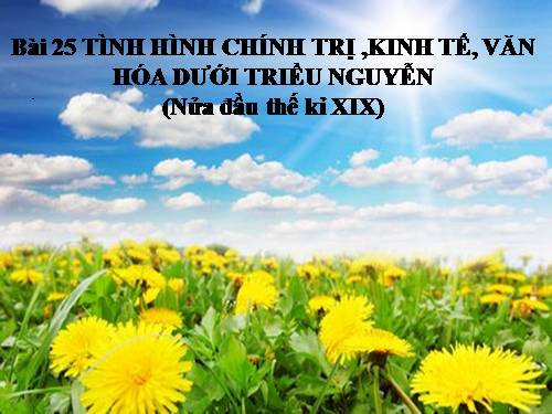 Bài 25. Tình hình chính trị kinh tế văn hóa dưới triều Nguyễn (Nửa đầu thế kỷ XIX)