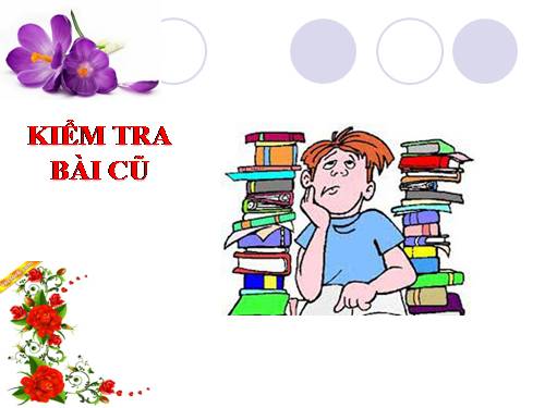 Bài 25. Tình hình chính trị kinh tế văn hóa dưới triều Nguyễn (Nửa đầu thế kỷ XIX)