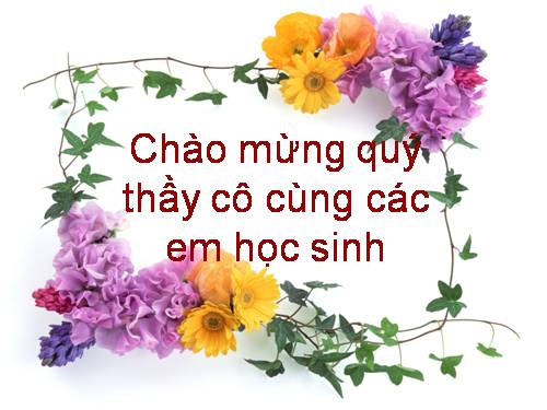 Bài 25. Tình hình chính trị kinh tế văn hóa dưới triều Nguyễn (Nửa đầu thế kỷ XIX)