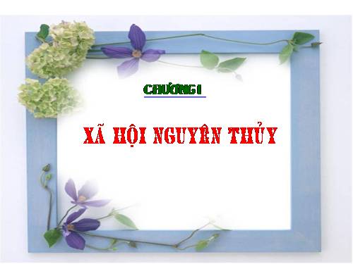 Bài 1. Sự xuất hiện loài người và bầy người nguyên thuỷ