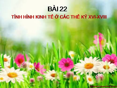 Bài 22. Tình hình kinh tế ở các thế kỷ XVI-XVIII