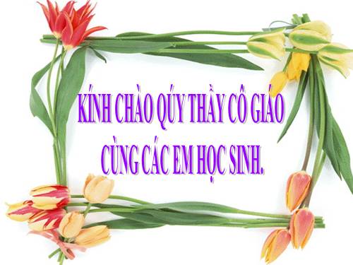 Bài 31. Cách mạng tư sản Pháp cuối thế kỷ XVIII