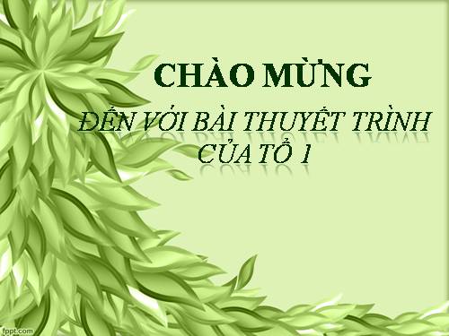 Bài 19. Những cuộc kháng chiến chống ngoại xâm ở các thế kỷ X-XV