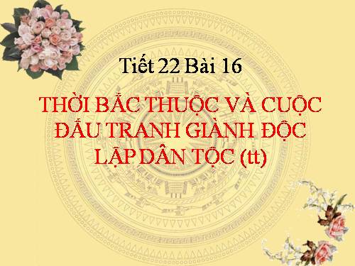 Bài 16. Thời Bắc thuộc và các cuộc đấu tranh giành độc lập dân tộc (Tiếp theo)