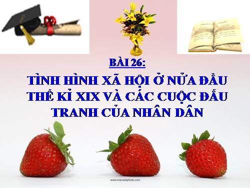 Bài 26. Tình hình xã hội ở nửa đầu thế kỷ XIX và phong trào đấu tranh của nhân dân