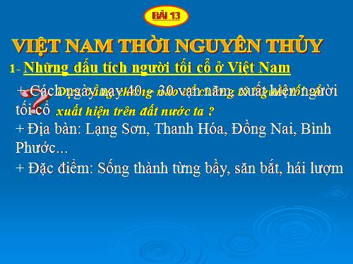 Bài 13. Việt Nam thời nguyên thuỷ