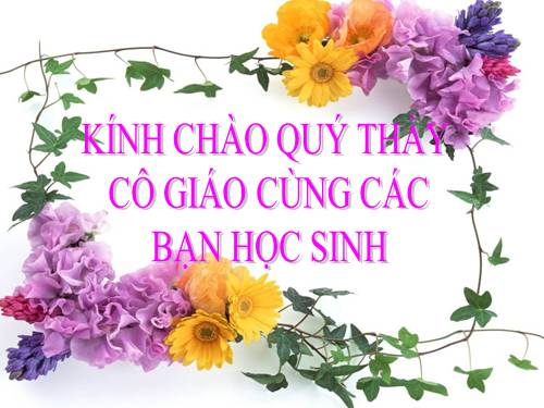 Bài 22. Tình hình kinh tế ở các thế kỷ XVI-XVIII