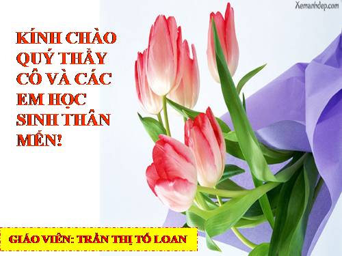 Bài 35. Các nước Anh, Pháp, Đức, Mĩ và sự bành trướng thuộc địa