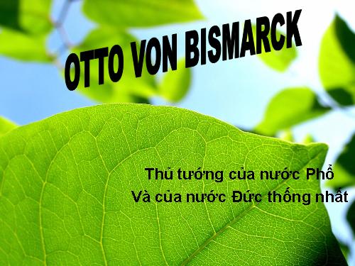 Quá trình thống nhất Đức