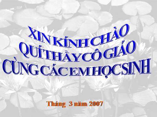 Bài 24. Tình hình văn hóa ở các thế kỷ XVI-XVIII