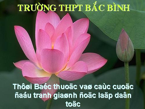 Viet Nam thoi Bac thuoc