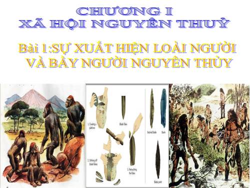 Bài 1. Sự xuất hiện loài người và bầy người nguyên thuỷ