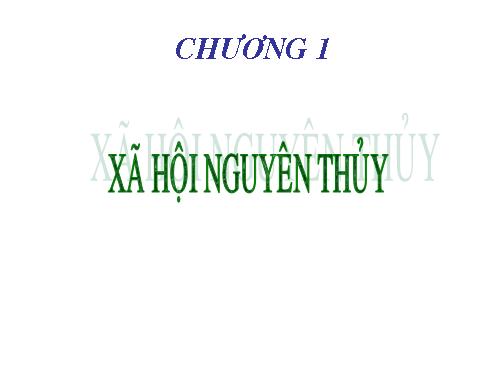 xã hội nguyên thủy