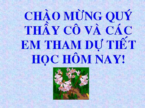 Bài 23. Phong trào Tây Sơn và sự nghiệp thống nhất đất nước. Bảo vệ tổ quốc cuối thế kỷ XVIII