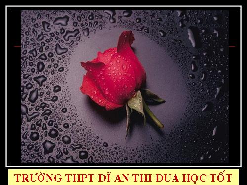 Bài 5. Trung Quốc thời phong kiến