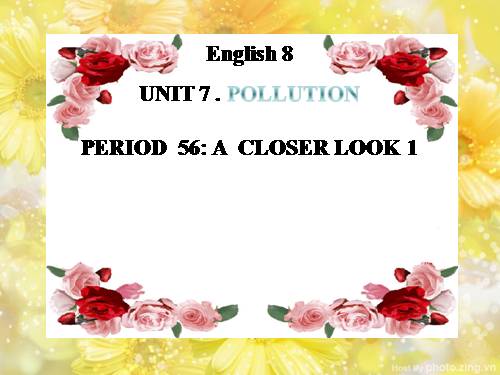 Unit 07. Pollution. Lesson 7. Looking back - project