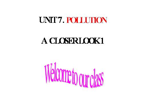 Unit 07. Pollution. Lesson 2. A Closer Look 1