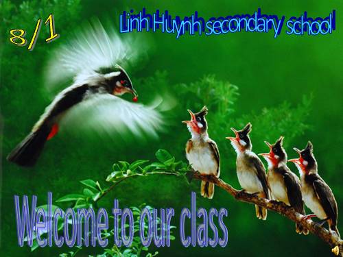 Unit 05. Festivals in Viet Nam. Lesson 6. Skills 2