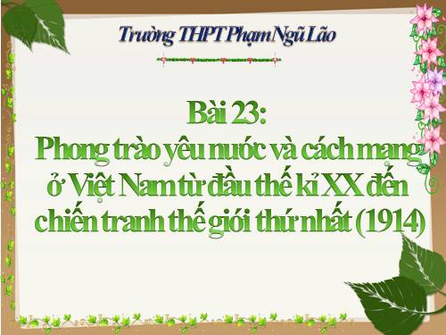 Bài 23. Phong trào yêu nước và cách mạng ở Việt Nam từ đầu thế kỉ XX đến Chiến tranh thế giới thứ nhất (1914)