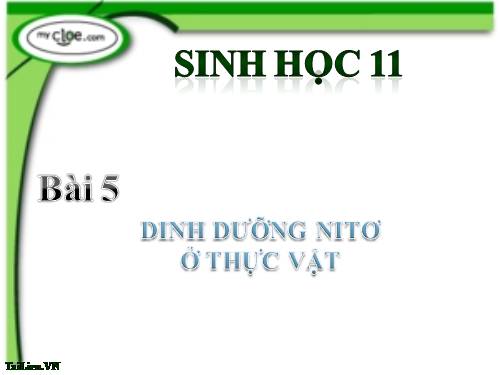 Bài 5. Châu Phi và khu vực Mĩ Latinh (Thế kỉ XIX - đầu thế kỉ XX)