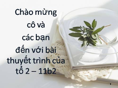 Bài 19. Nhân dân Việt Nam kháng chiến chống Pháp xâm lược (Từ năm 1858 đến trước năm 1873)